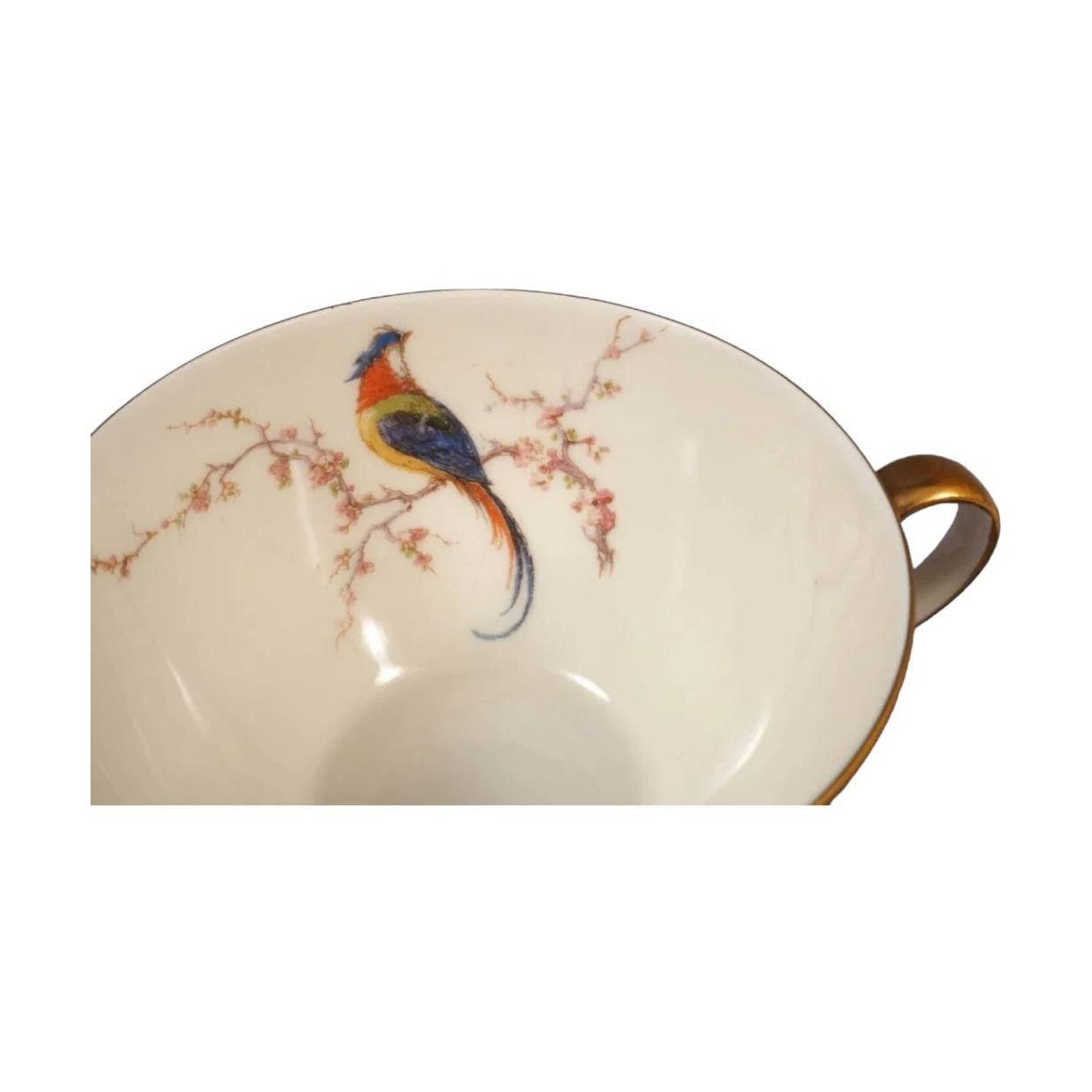 Limoges France HAVILAND PARADISE Cream Soup Bouillon Bowl