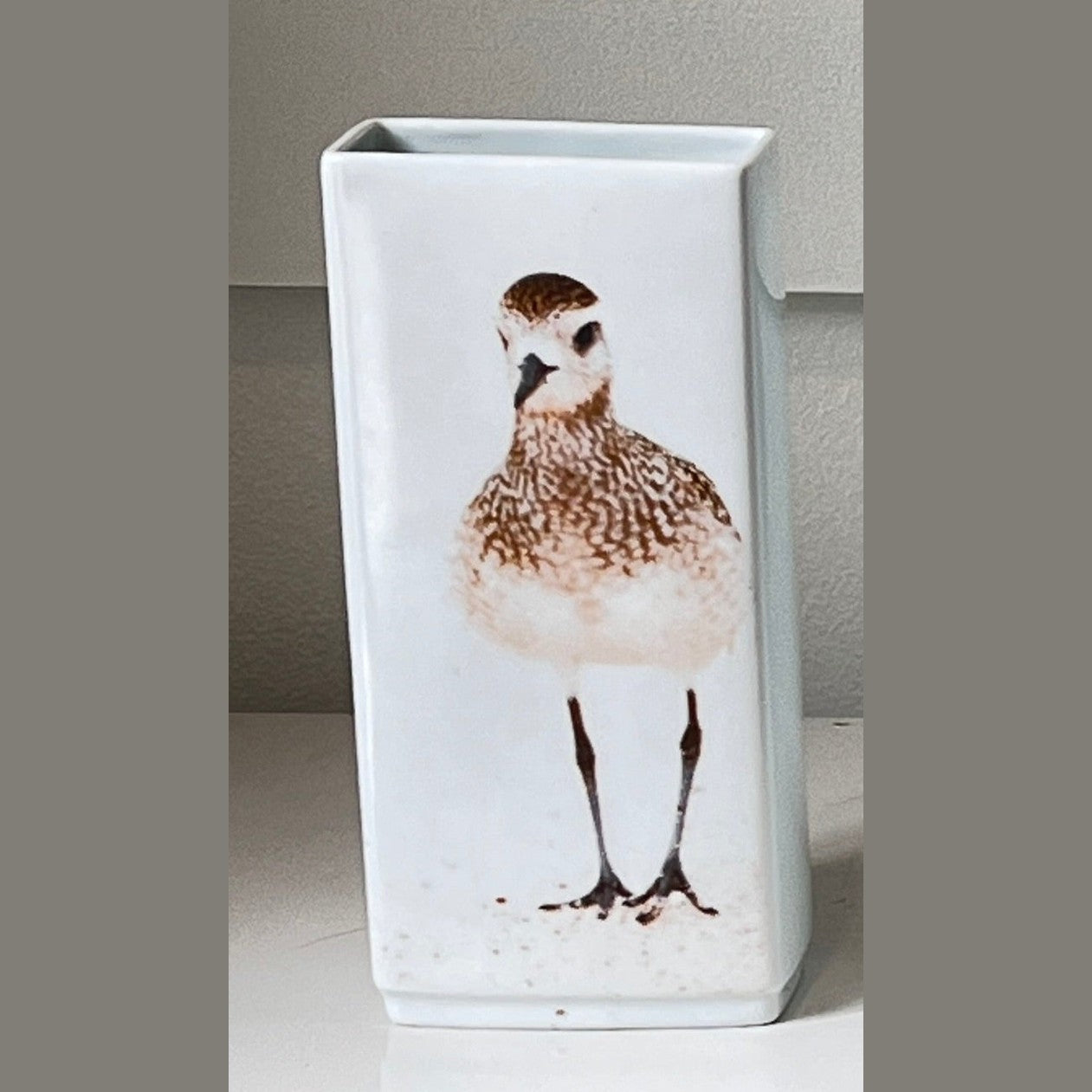 Porcelain Vase with Sandpiper Bird Print